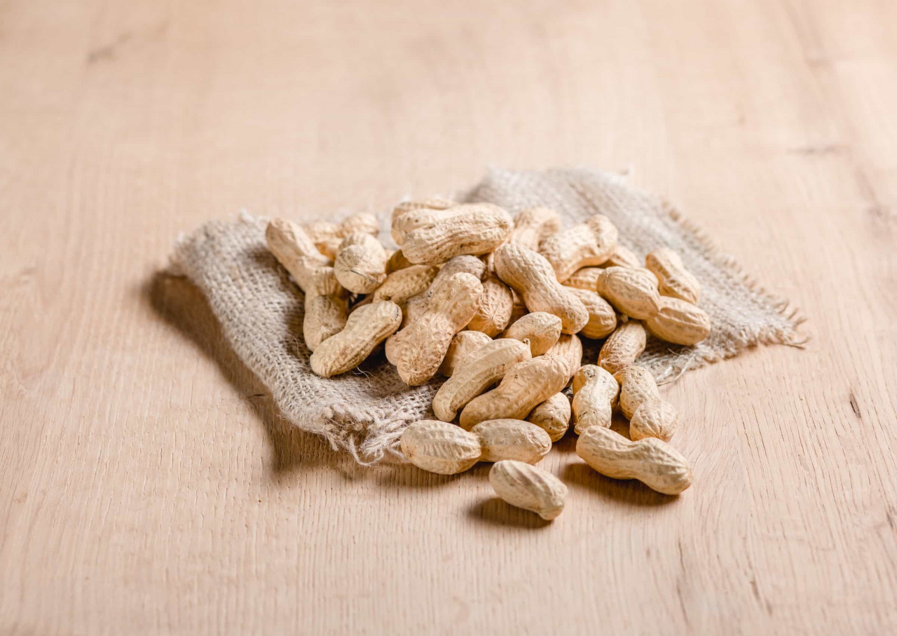 Poly Fill 6 Kubikfuß Fuß ECOFLO Biologisch Abbaubar Lose Hohlraumfüllung Elegoo Filament