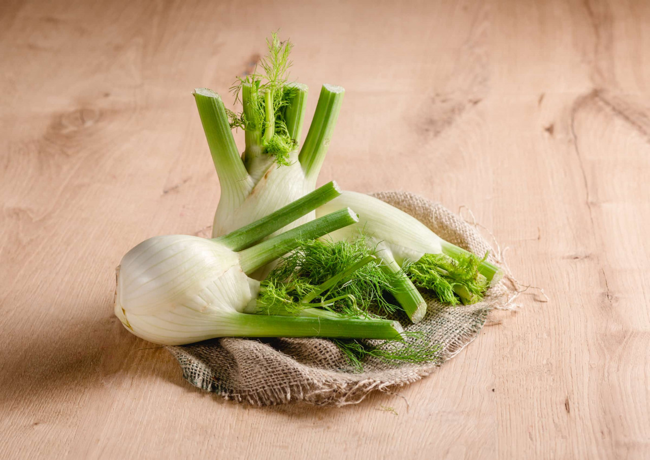 Bio Fenchel schneller & frischer online