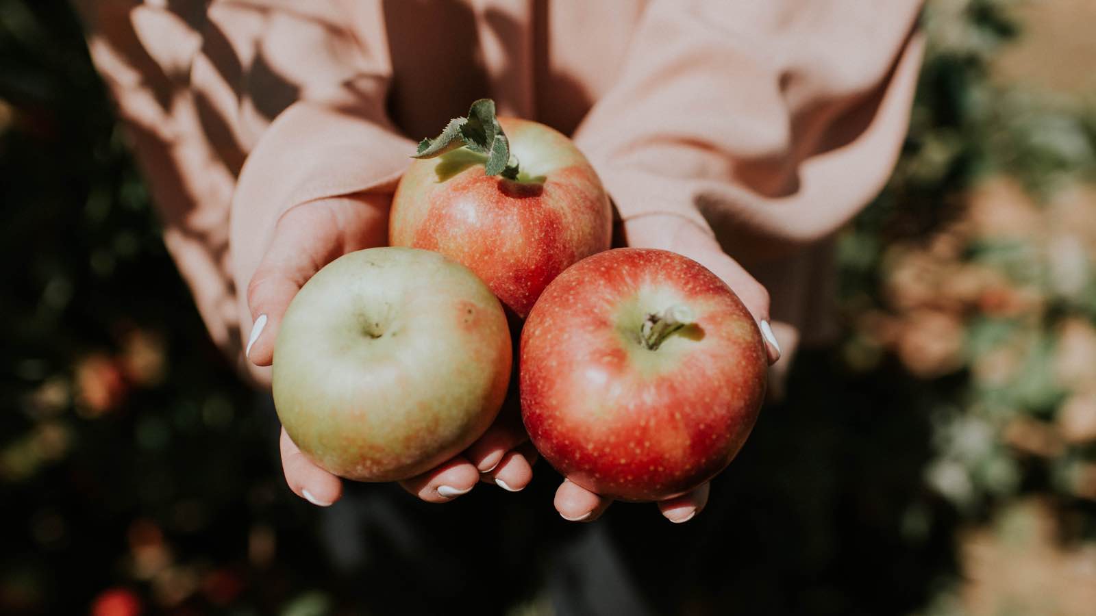 An Apple a day – der gesunde Apfel