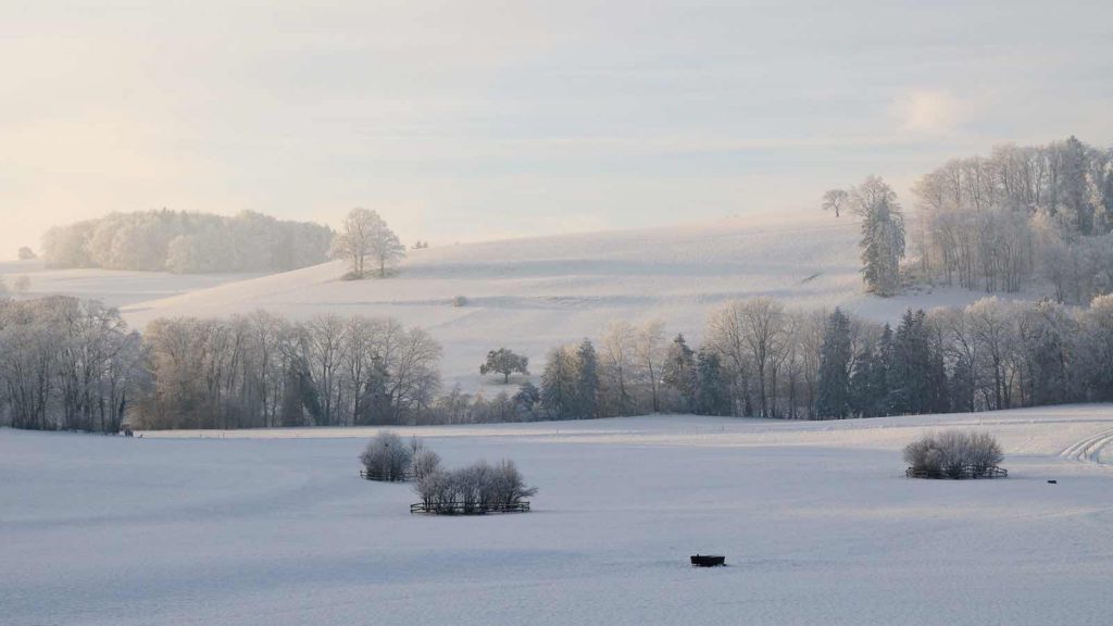 Feld im Winter