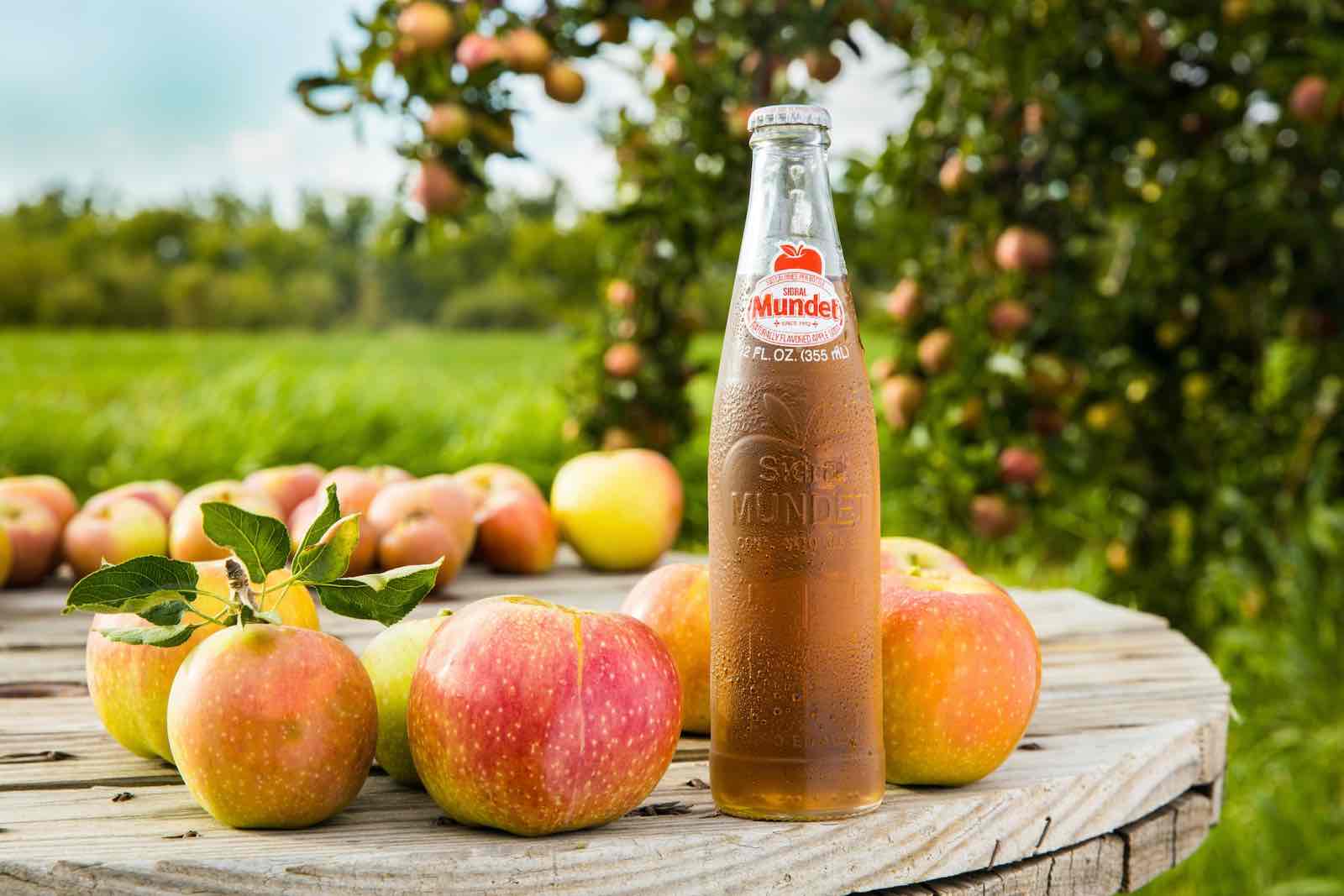 Der Weg des Apfels vom Baum in die Flasche