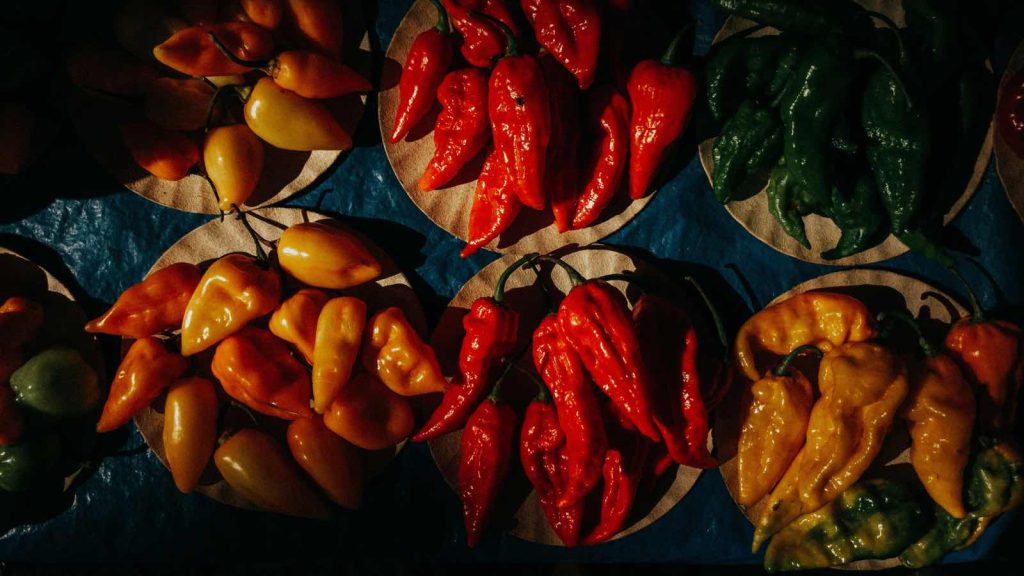 Bunte Paprika auf Tellern