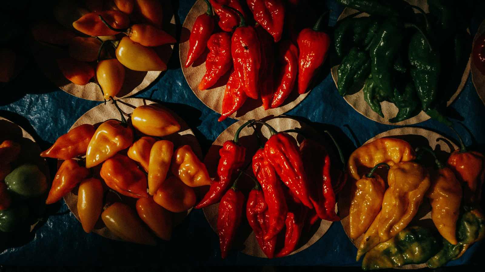Von süß bis scharf: Alles über Paprika, Pfefferoni und Chili in der Küche