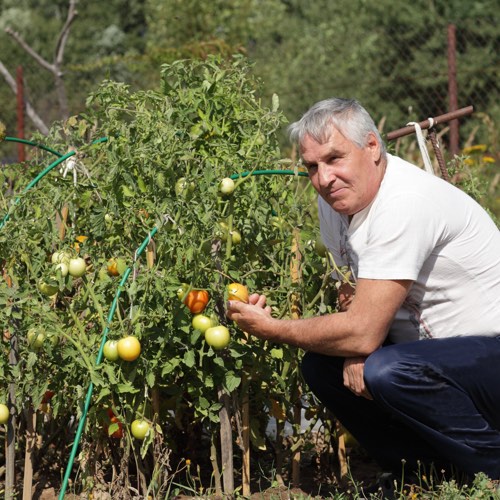 Gaspere Verderame