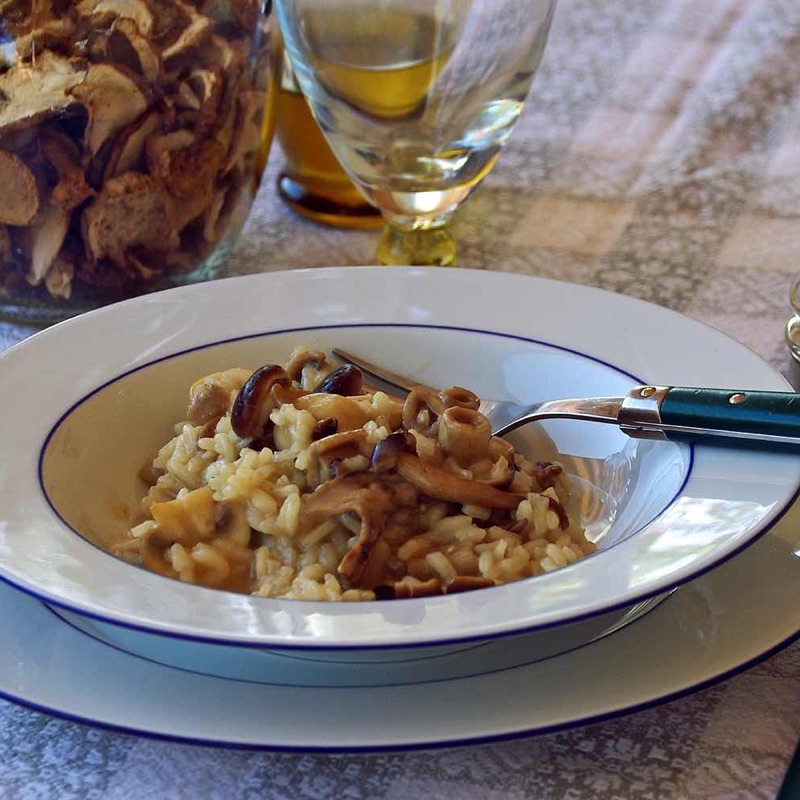 pilz-risotto-vegan_800