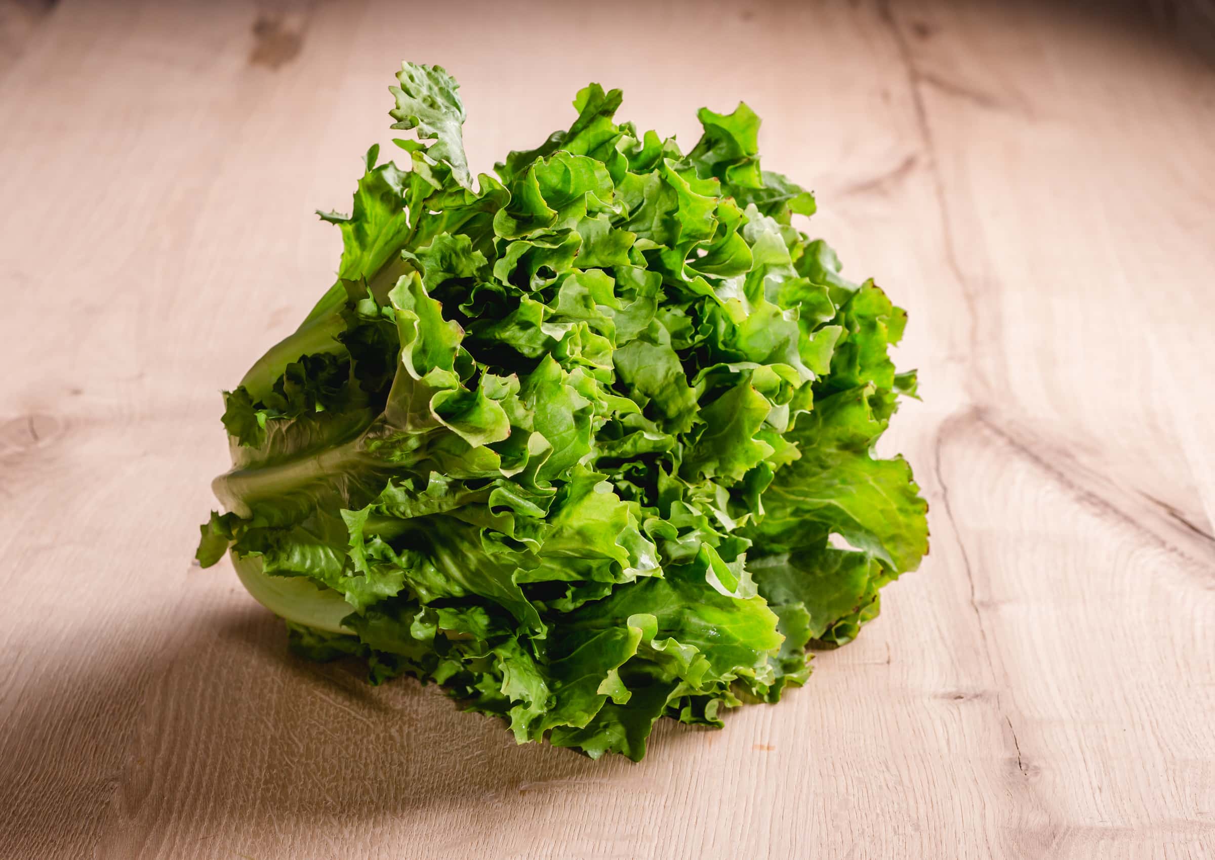 Endivien Salat online bestellen | vomfeld.at