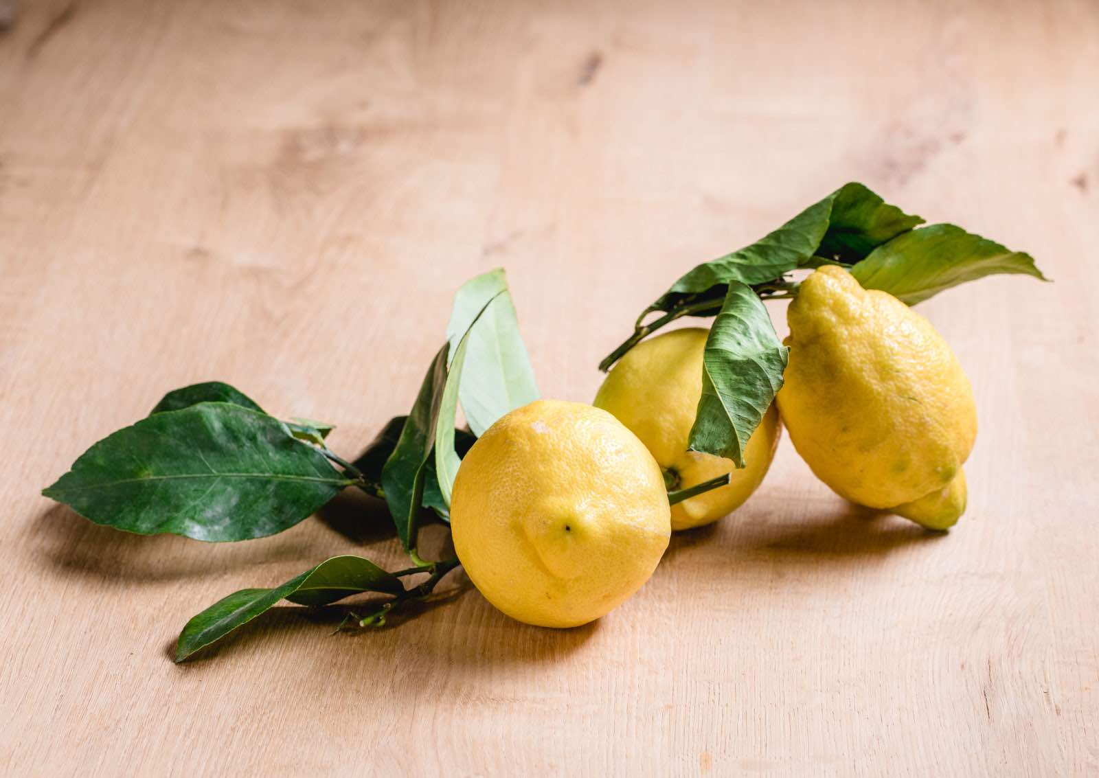 Zitronen mit Blatt aus Amalfi