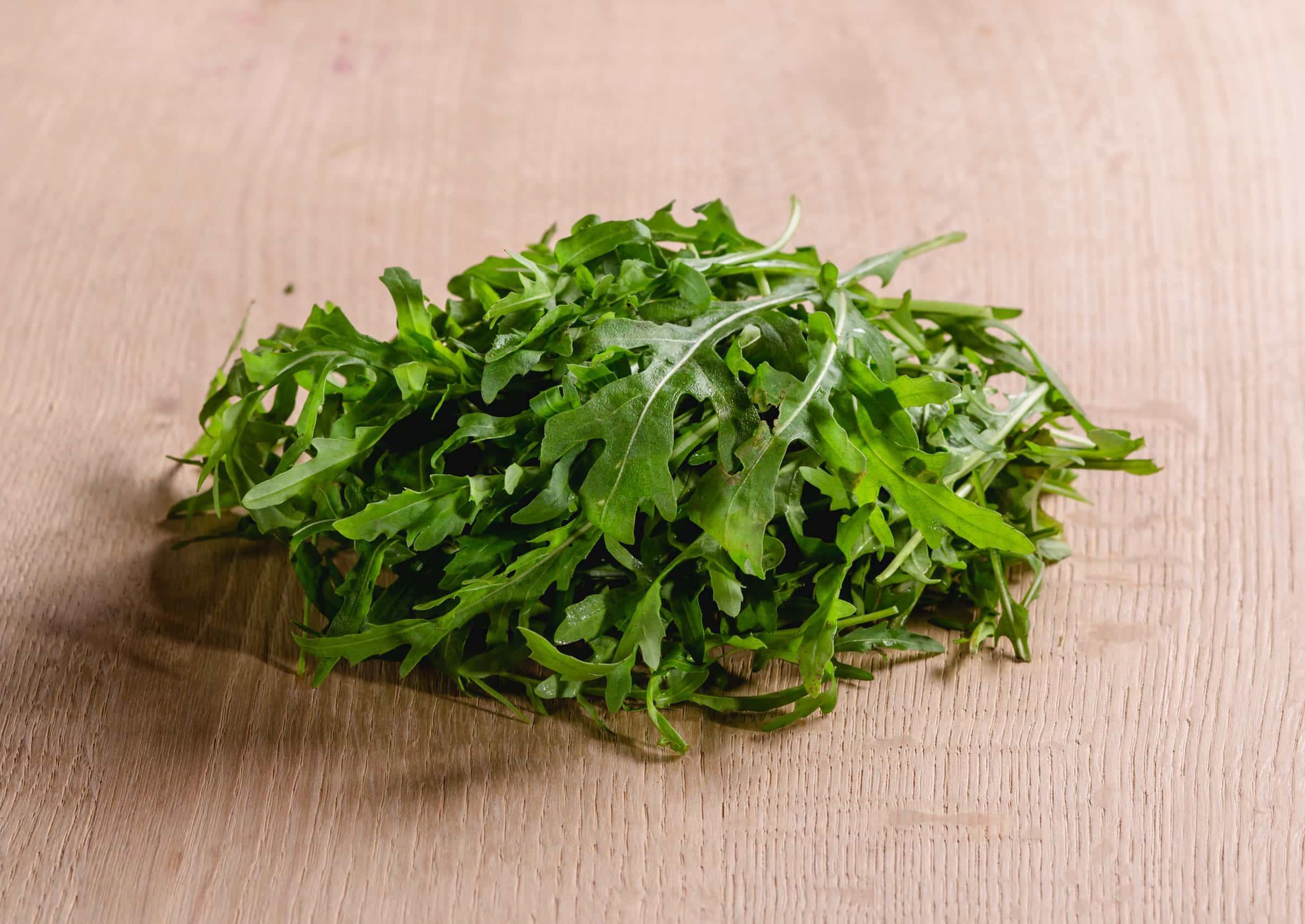 Rucola