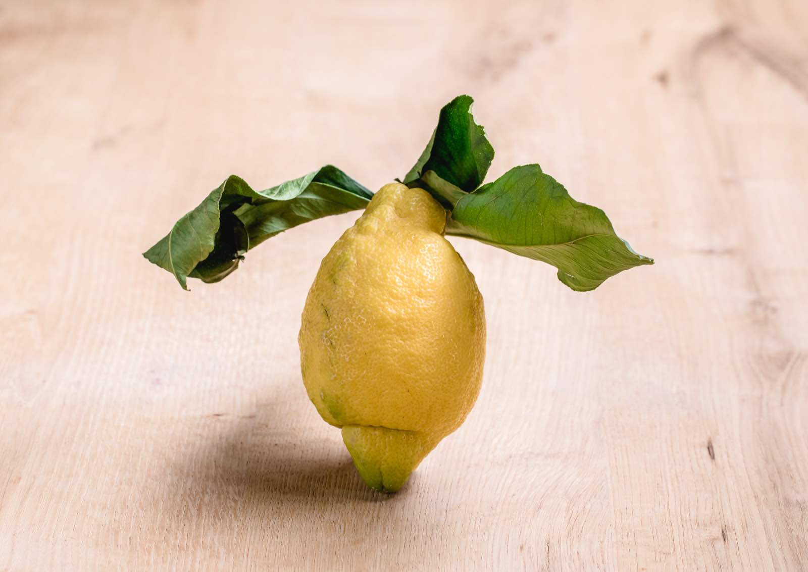 Zitronen mit Blatt aus Amalfi