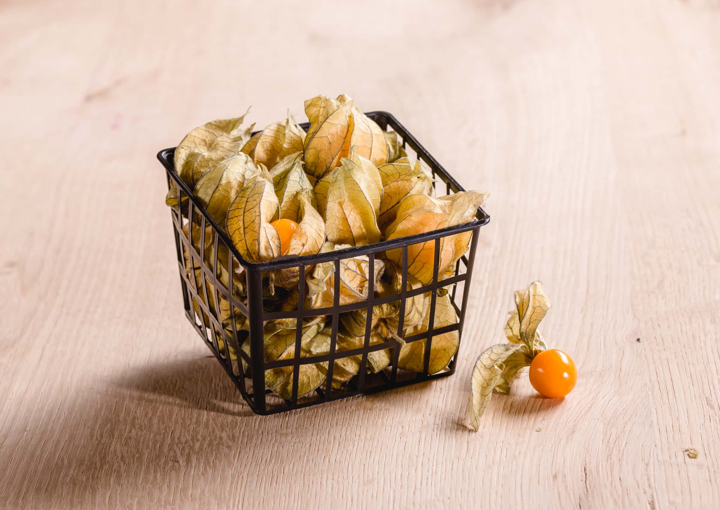 Physalis