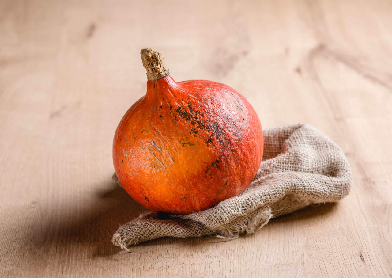 Bio Kürbis Hokkaido online bestellen | vomfeld.at