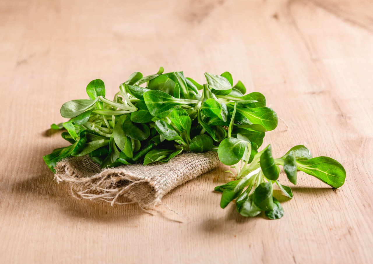 bio-vogerlsalat-online-bestellen-vomfeld-at