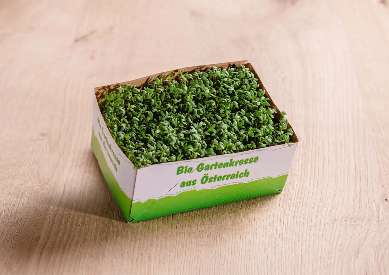 Kresse grün online bestellen vomfeld.at